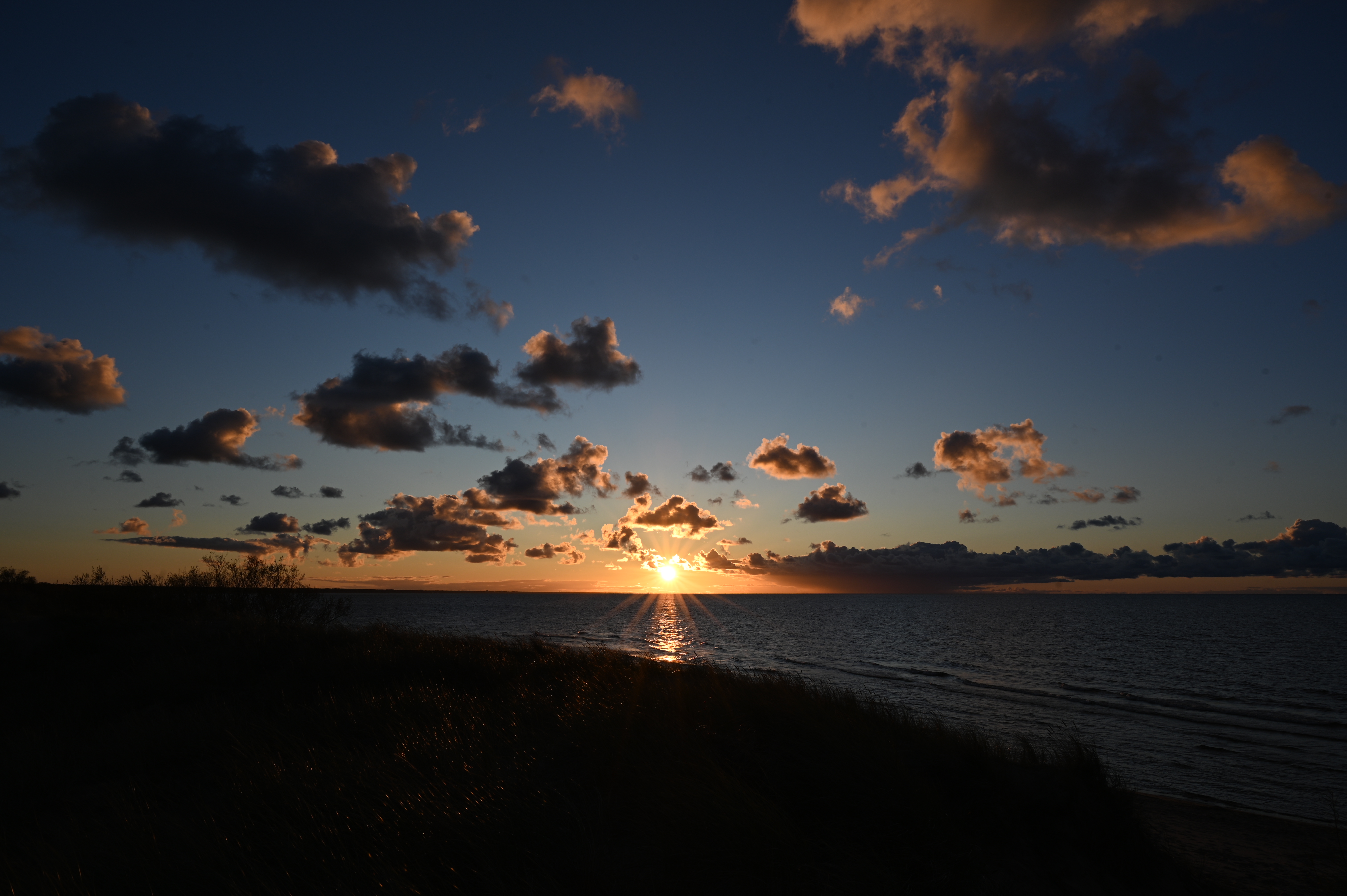 2025/10/18 - walk/DSC_0398.JPG